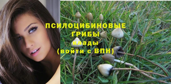 прущая мука Дмитров