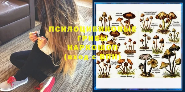 Альфа ПВП Заволжск