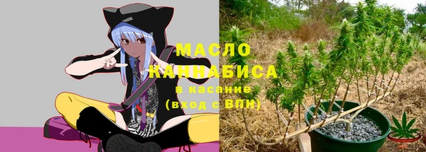 трава Ельня