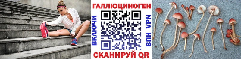 Псилоцибиновые грибы Psilocybine cubensis  что такое   Кодинск 